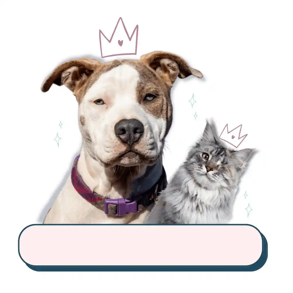 Pet Parenting